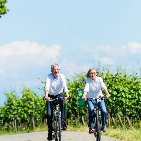 Weinhaus Stern 3* Buergstadt